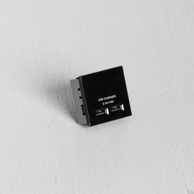 Dubbel USB-uttagsmodul för europlatta svart brittisk standard