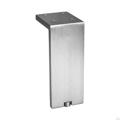 Fonda 100 Silver borstad möbelben