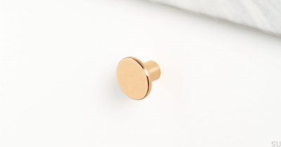 Como möbelknopp i polerat guld