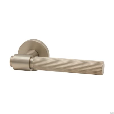 Helix Stripe 200 Silver Borstad dörrhandtag
