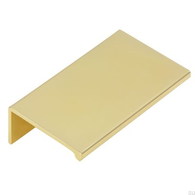 Möbelkanthandtag 2446 48 Polerat guld
