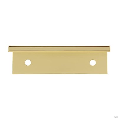 Möbelkanthandtag 2446 48 Polerat guld