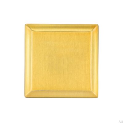 Möbelknopp 2439 16 Borstat guld
