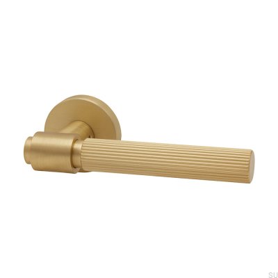 Helix Stripe 200 Borstad Guld Skandinavisk Standard Dörrhandtag