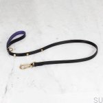 BusterPunch_Dog_Lead_Brass_Small.jpg