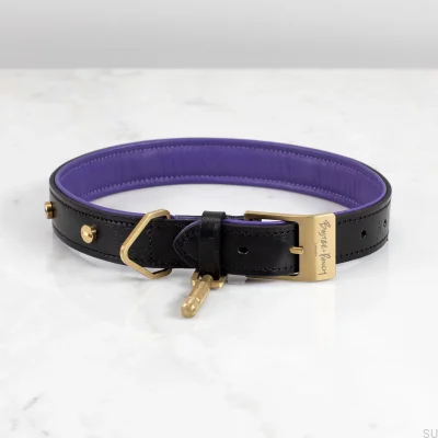M Läder Guld Hundhalsband