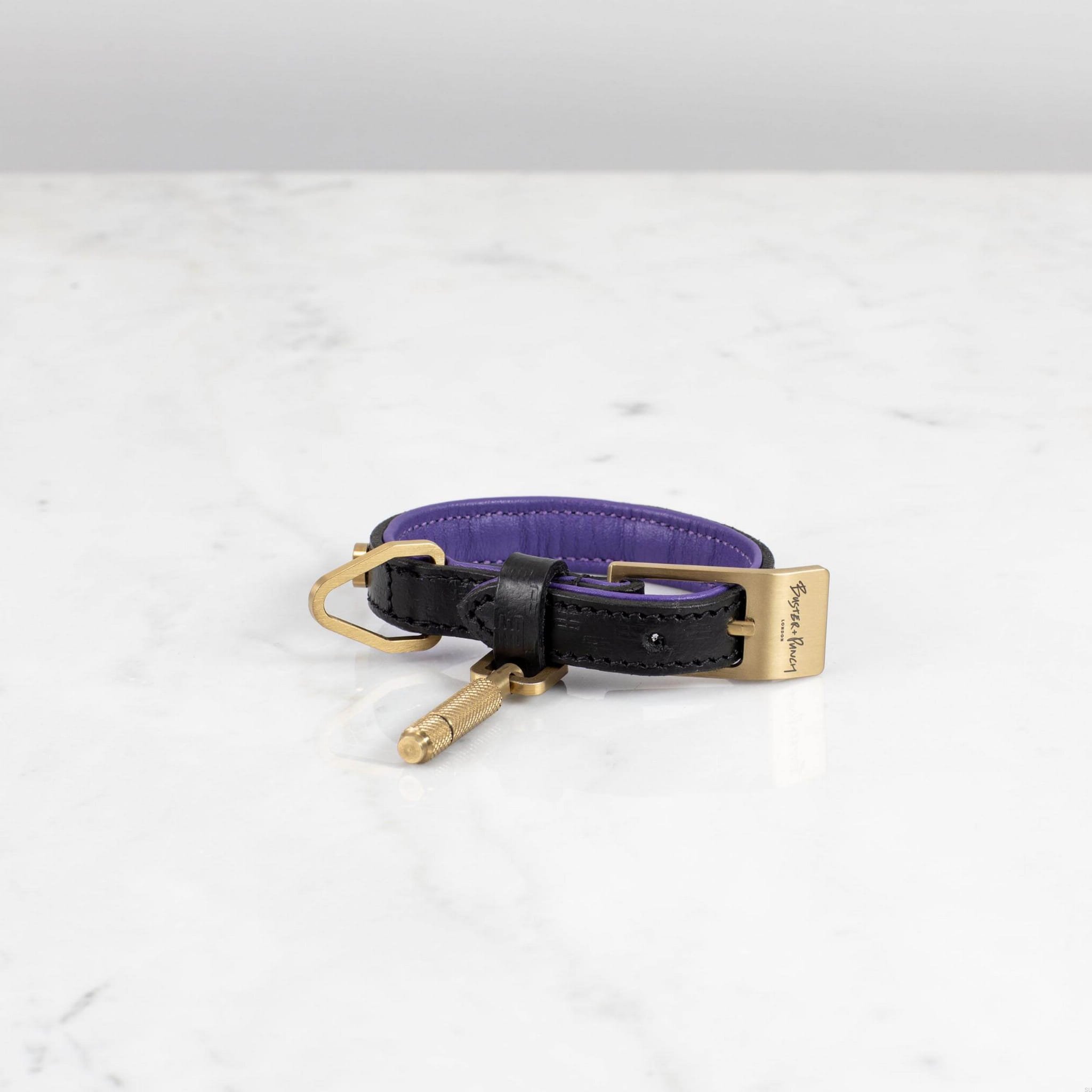 BusterPunch_Dog_Collar_Brass_XSmall_Front.jpg