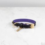 BusterPunch_Dog_Collar_Brass_Small_Front.jpg