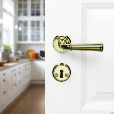 Hampton Dörrhandtag Polerat Guld Skandinavisk Standard