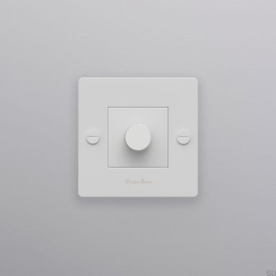 LED Cross 1G 250W Momentan Dimmer Stål Vit Europeisk Standard