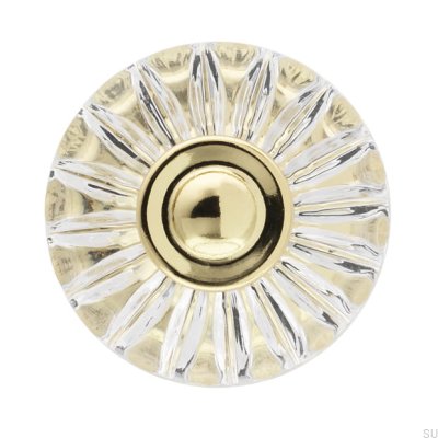 Möbelknopp H119 Plast Guld