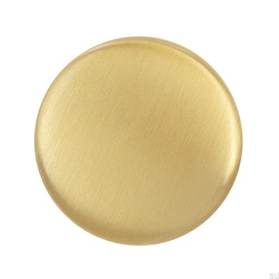 Möbelknopp 872 Guld Borstad