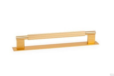 Längsgående möbelhandtag med Arpa Plate 192, Aluminium, Guld, Borstad