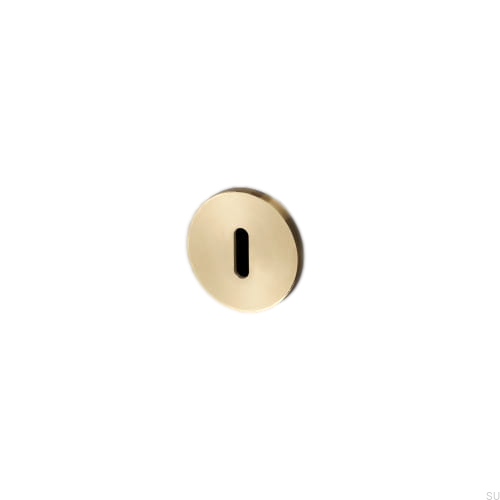 buster_punch_-_escutcheon_plate_brass_3_5.jpeg