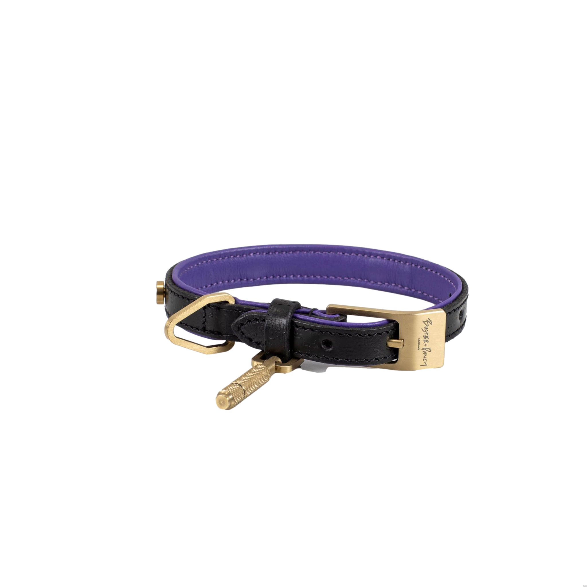 BusterPunch_Dog_Collar_Brass_Small_Front.jpg
