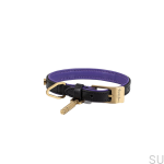 BusterPunch_Dog_Collar_Brass_Small_Front.jpg
