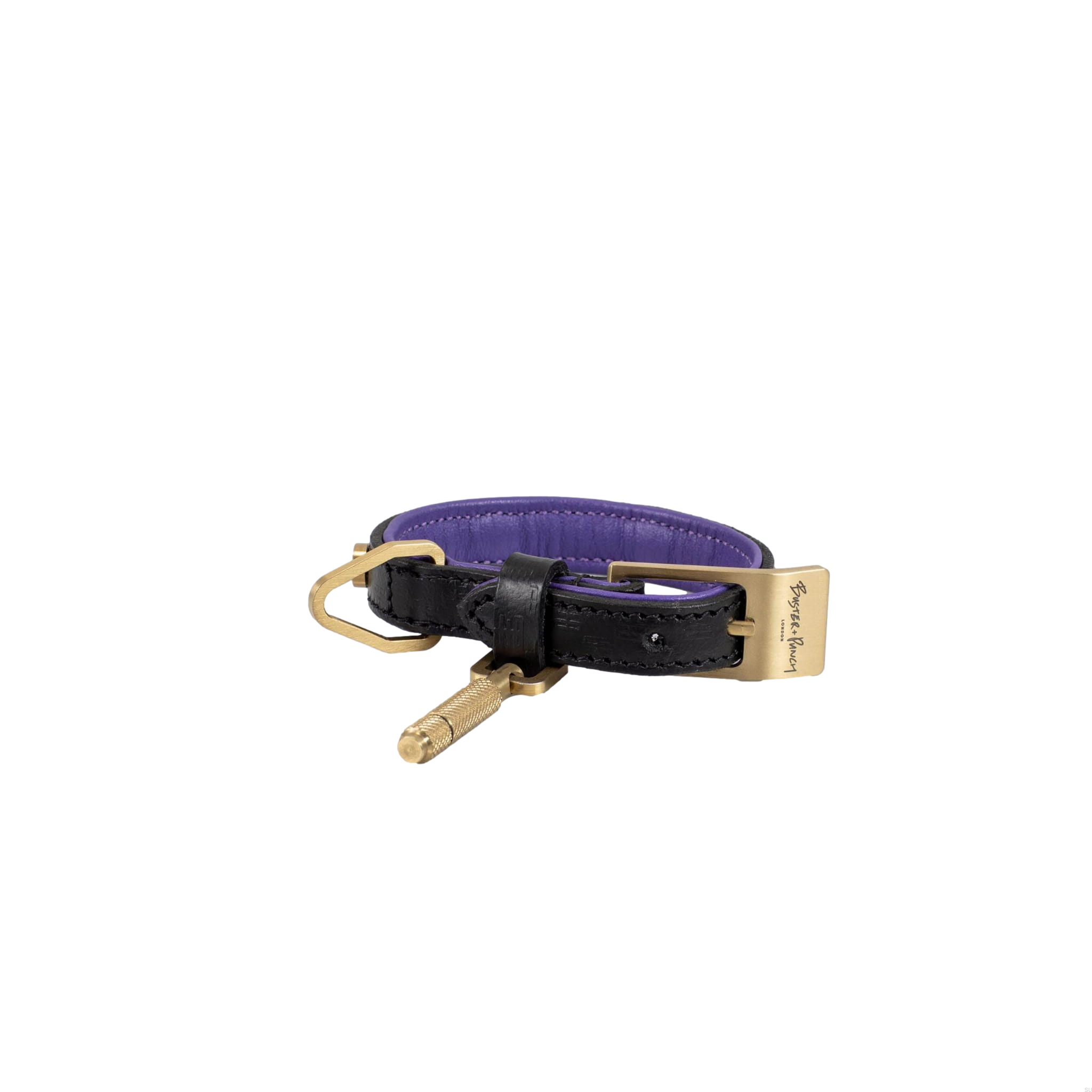 BusterPunch_Dog_Collar_Brass_XSmall_Front.jpg