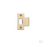 Strike_Plate_2Inch_Brass_web-scaled (1).jpg