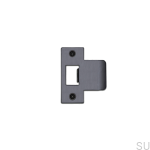 Strike_Plate_2_5_Inch_GunMetal_web-scaled.jpg