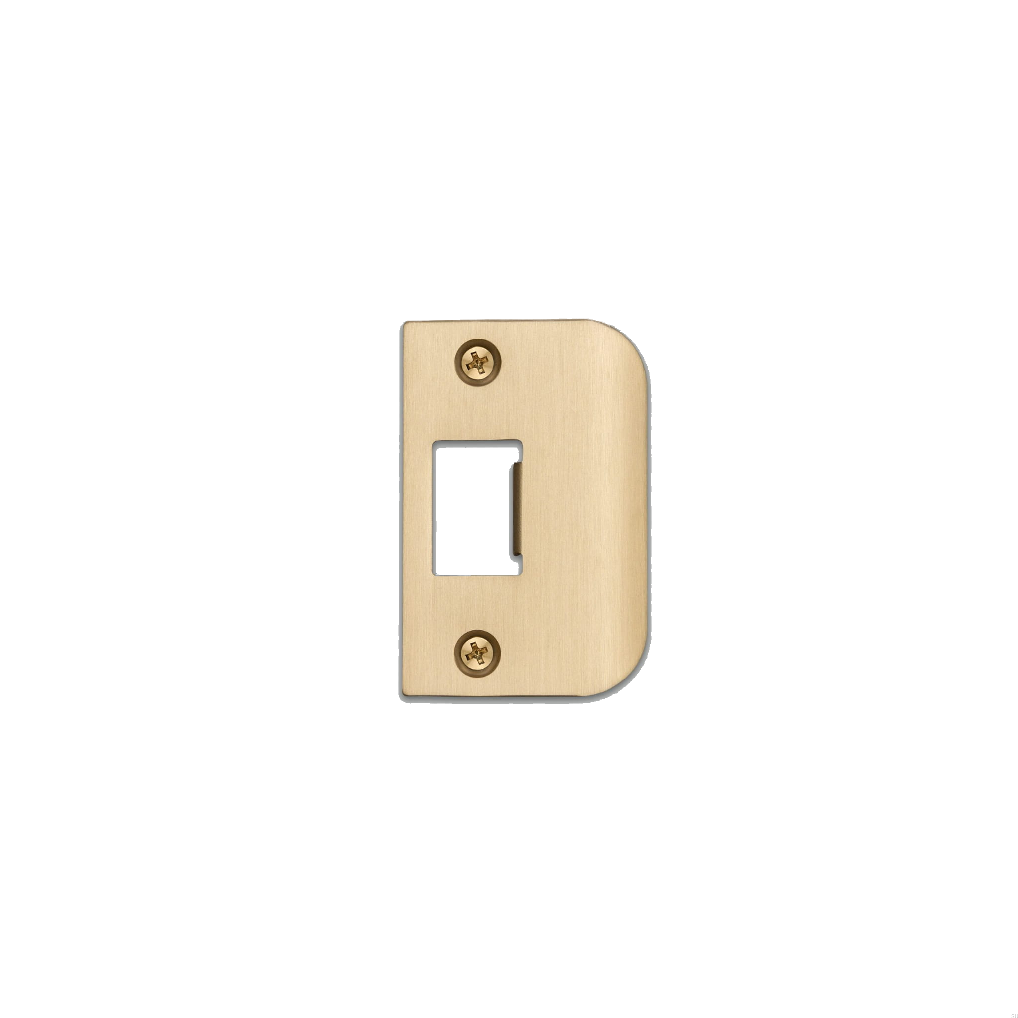 Strike_Plate_D_Plate_Brass_web-scaled.jpg