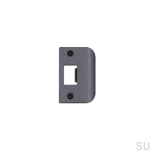 Strike_Plate_D_Plate_GunMetal_web-scaled.jpg