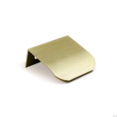 Poppi 40 möbelhandtag i borstad guldkant
