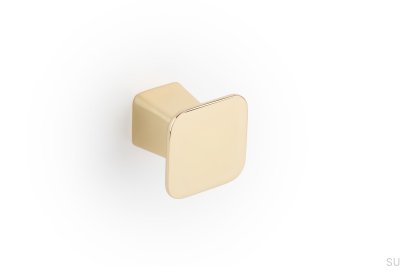 Prism guld polerad möbelknopp
