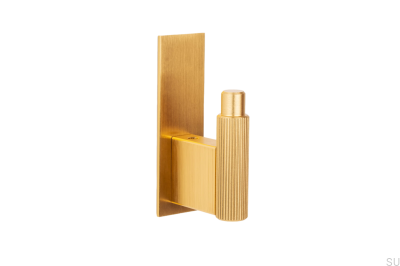 Vägghängare med bricka Arpa Plate Aluminium Guld Borstad Mörk