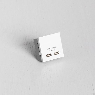Dubbel USB-uttagsmodul för europlatta Vit brittisk standard
