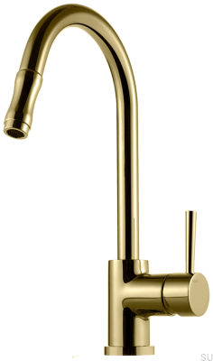 Köksblandare med utdragbar pip EVO185, Honey Gold Brass