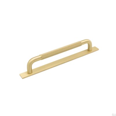 Avlångt möbelhandtag med Helix 160 Gold bricka