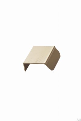 Accent 32-kant möbelhandtag, borstad aluminiumguld