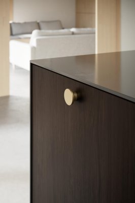Circle 50 Metall möbelknopp Borstat guld