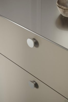 Circle 50 Metall Silver Möbelknopp