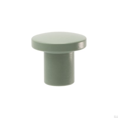 Skye 25 möbelknopp Steel Green