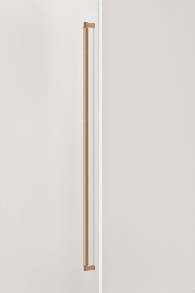 06781056L618--Uchwyt-meblowy-podłużny-jednostronny-Brooklyn-Big-1056-Aluminiowy-Złoty-Szczotkowany-Viefe-Skandynawskie-Uchwyty_1