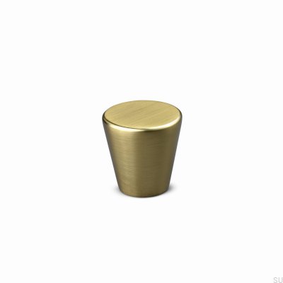 Padua 30 Metall Möbelknopp Borstad Guld