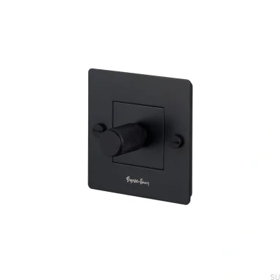 LED Cross 1G 250W Stål Svart Europeisk Standarddimmer med Logotyp