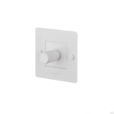 LED Cross 1G 250W Stålvit Europeisk Standarddimmer med Logotyp