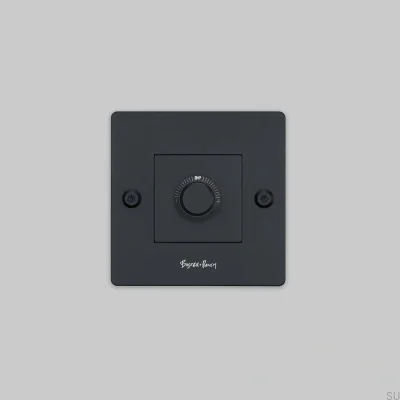 LED Linjär 1G 250W Stål Svart Europeisk Standarddimmer med Strömbrytare med Logotyp
