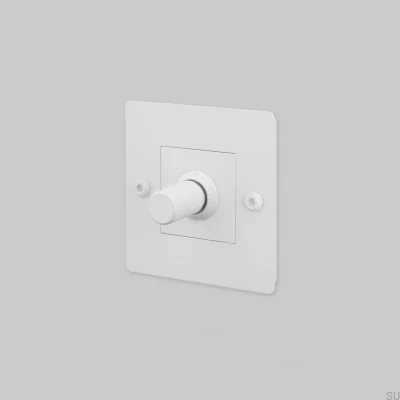 Dimmer med strömbrytare utan logotyp LED Linjär 1G 250W Stål Vit Europeisk Standard