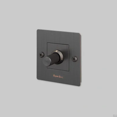 Dimmer med strömbrytare med logotyp LED Linjär 1G 250W Mässing Bränd brons Europeisk standard