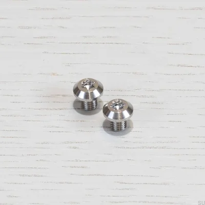 Linjär Torx Silver Långt Handtag Skruv