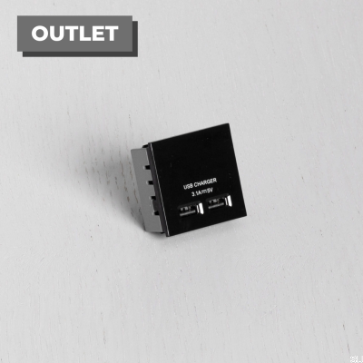 Dubbel USB-uttagsmodul för europlatta svart brittisk standard