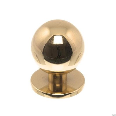Möbelknopp 1349 25 Polerat guld, Lackat