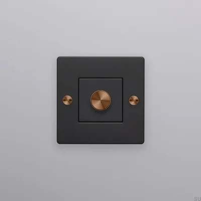 LED-dimmer Cross 1G 100W stålsvart med varm solnedgång europeisk standard