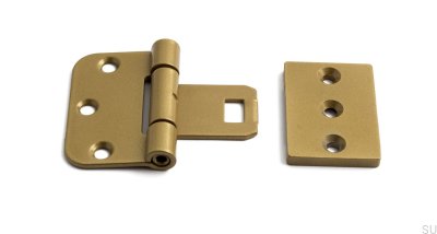 Symmetriska dörrgångjärn 2465 Stål Guld (set om 2)